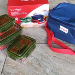 Borosilicate storage container