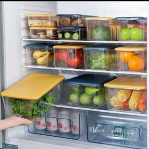 4L Acyric container