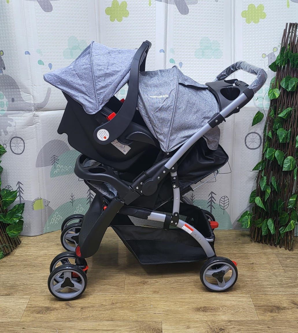 2in1 stroller