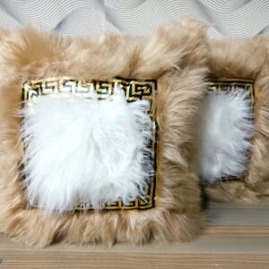 Gold chiwawa cases