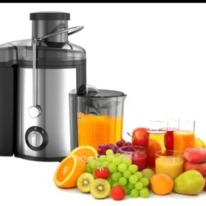 Electric Juicer (800watts)